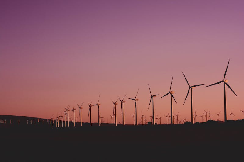 Energy transition — large-scale solar and low-carbon electricity projects